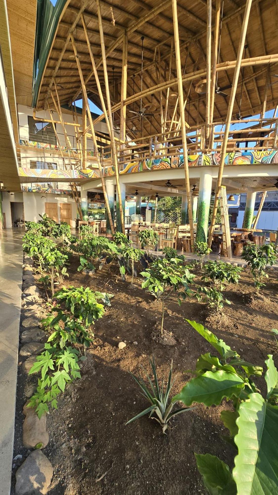 Bonding Coffee Roaster Cafe & Hotel Quepos Exterior photo